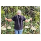 Pair bronze chandeliers- 1 repaired globe