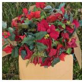 Huge box of poinsettia Garland
