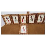 Six hand painted feather birds