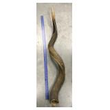 Large Kudu horn