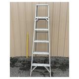 Werner Aluminum Ladder