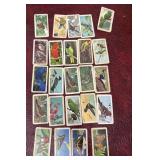 Brooke Bond Tea Co. tropical birds and butterfly