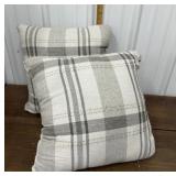 2 Throw pillows- nice!