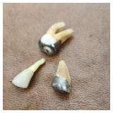 Teeth with fillings - tested sterling