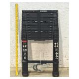 Telescoping Extension Ladder
