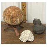 Sea urchin shell? w/stand, dinosaur poop?, brain