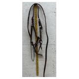 Nickel/ Silver trim Leather Halter w/ Lead