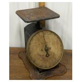 Capitol Family Scales