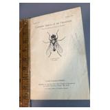 January 1931 common insects of the household Glen