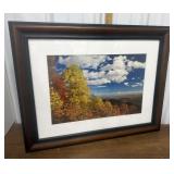 Artist signed, numbered photograph- framed,