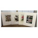 Prints- floral, birds, fruit *matted, sealed in