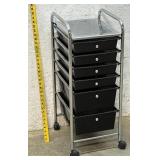 Bathroom Organizer- Stainless & Plastic