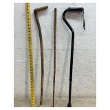 Walking Sticks (3)