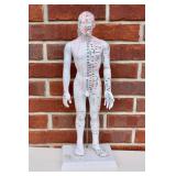 20" Acupuncture Training Doll