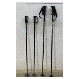 Ski Poles