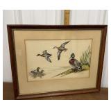 Signed Duck Art- framed