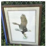 Hugh Hirtle Bald Eagle print