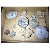 Rocks, fossils