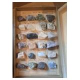 Specimens from the desert
