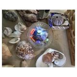 Basket shells and rocks