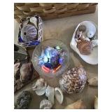Basket shells and rocks