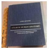 1971 Lopez Antunez Atlas of human anatomy
