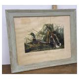 John James Audubonï¿½s 'Mallard Duck' Print