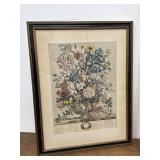 Henry Fletcher ï¿½Juneï¿½ botanical art print