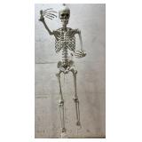 Life Size Skeleton