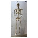 Life Size Skeleton
