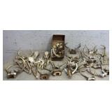 Collection of Antlers, Skulls & Jaws