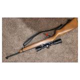 Ruger Rifle .22 LR Nikon