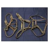 T4 3Pc Halters Horse tack Leather G