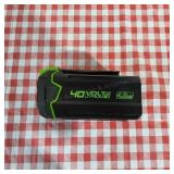 T2 greenworks battery