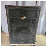 T5 Peavey 118 international Series III