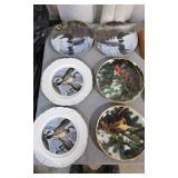 N2 20 pcs rockwell collector plates knowles