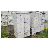 6 Hives