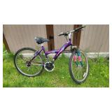Womens XT 2100 Bicycle