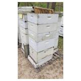 FAUSSETT RD HOWELL 3 Complete Hives