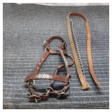 F2 - Western Show Halter with Silver Ove Leather W
