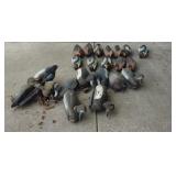 Duck Decoy Collection - Mallard and Asso Collectio