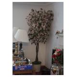 Silk flowering tree