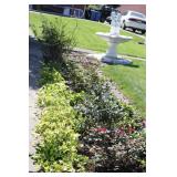approx. 7-9 Rose Bushes Contents of flower bed
