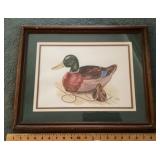 Jim Reed original duck watercolor painting
