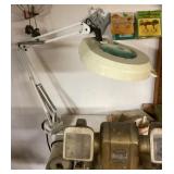 Magnifying task light