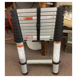 Telescoping ladder