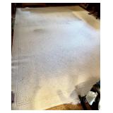 10x14 tan area rug