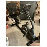 Sunny SF-RB4850 recumbent bike
