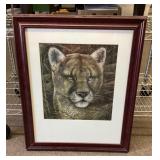 Framed mountain lion print 19x23