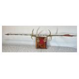 Deer antlers with arrow mounted on board